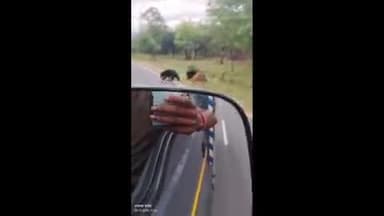 சத்தியமங்கலம்: பண்ணாரி அம்மன் கோவில் அருகே சாலையைக் கடந்து சென்ற கரடிகள் வீடியோ சமூக வலைத்தளத்தில் பெரும் வைரல்