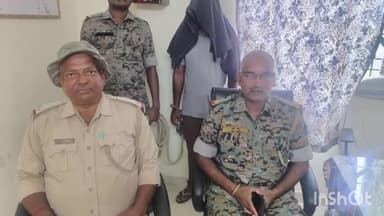 पांडू: रबरी में अवैध लकड़ी से लदा ट्रक पकड़ा गया, चालक गिरफ्तार