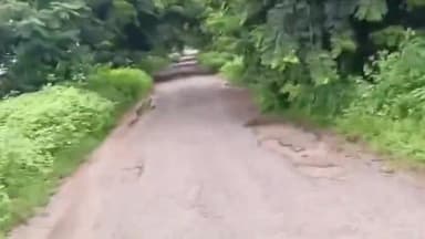 ఎల్లారెడ్డిపేట: రోడ్డు ఇలా ఉంటే ప్రయాణించేది ఎలా..?