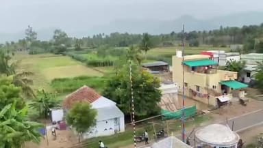 தெரு நாய்கள் கடித்து 10 ஆடுகள் உயிரிழப்பு தியாகனூர் பகுதியில் வருவாய்த் துறையினர் விசாரணை