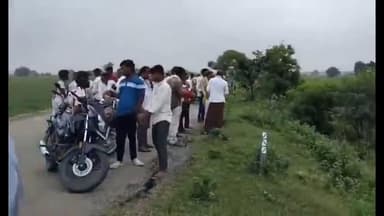 మద్నూర్: మద్నూర్ లో పులి సంచారం, భయాందోళనలు స్థానికులు