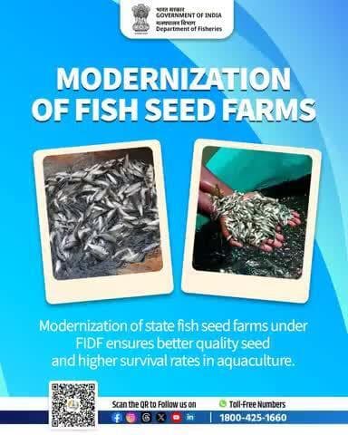 Modernizing Capture & Culture Fisheries
Empowering India's Blue Economy!FIDF is transforming traditional fisheries with modern infrastructure to boost productivity and sustainability.
#FisheriesDevelopment #BlueEconomy #fidf