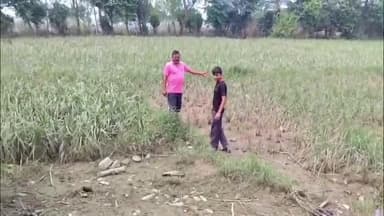 ਧਾਰ ਕਲਾਂ: ਜ਼ਿਲਾ ਪਠਾਨਕੋਟ ਦੇ ਅਰਧ ਪਹਾੜੀ ਖੇਤਰ ਧਾਰ ਵਿਖੇ ਹੜਾ ਦੀ ਮਾਰ ਹੇਠ ਆਏ ਪੋਲਟਰੀ ਫਾਰਮ ਦੇ ਮਾਲਿਕ ਪ੍ਰਸ਼ਾਸਨ ਤੋਂ ਮਦਦ ਦੀ ਲਗਾਈ ਗੁਹਾਰ