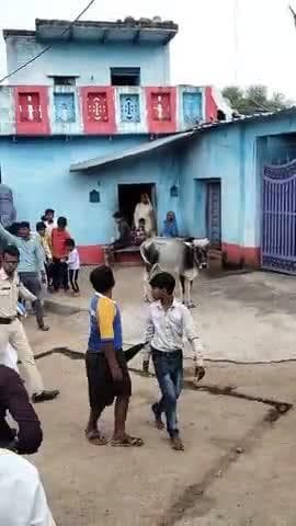 ग्राम पंचायत सतरिया को नशामुक्त बनाने के समस्त ग्रामवासी के द्वारा सतरिया में नशामुक्ति रैली निकाली ##