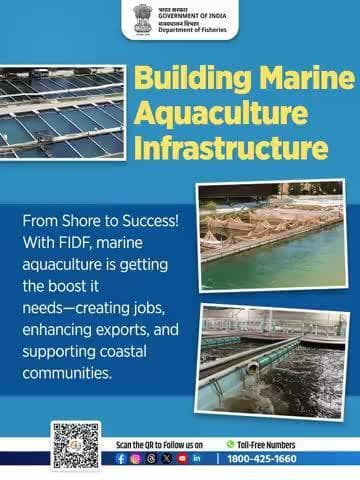 From Shore to Success!
With FIDF support, marine aquaculture is boosting exports and empowering coastal communities.
#MarineAquaculture #FIDF #BlueEconomy