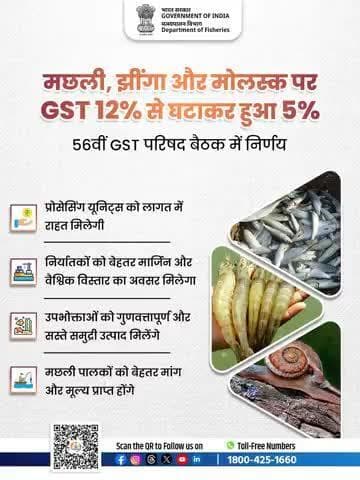 वैल्यू एडेड समुद्री उत्पादोंपर GST में कटौती—एक रणनीतिक कदम जो किसानों की आय, प्रोसेसरों की वृद्धि, उपभोक्ताओं की सुविधा और वैश्विक निर्यात में भारत की बढ़त सुनिश्चित करता है।
#NextGenGST #56thGSTCouncil #AquacultureBoost #नीलीक्रांति