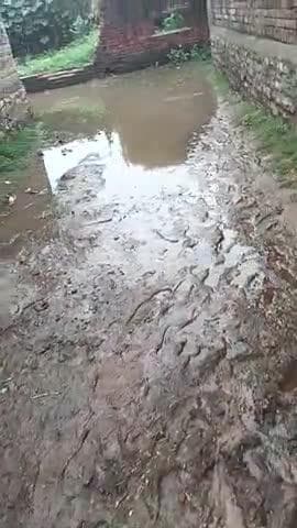 ग्राम पंचायत ajnodha के nakatu pura गांव में अधिक बारिश होने के कारण निकलने तक की भी जगह नहीं है
