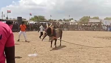 முதுகுளத்தூர்: பெரியஇலை கிராமத்தில் வடமாடு மஞ்சுவிரட்டு போட்டி!