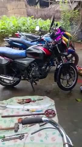 शशक
भी तथा गड़बड़ियां