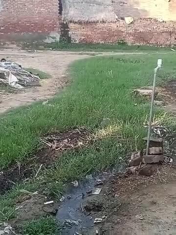 शाहजहांपुर तहसील तिलहर थाना गढ़िया रंगीन
sunaura rampura नाली और रास्ते की व्यवस्था बिल्कुल नहीं है घर मेंशौचालय नहीं ह