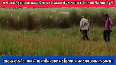 कसिया: भागो भागो तेंदुआ आया! रहस्मई जानवर से गांव में मची दहशत। वन विभाग की टीम जांच में जुटी#जानवर#तेंदुआ#उत्तर प्रदेश