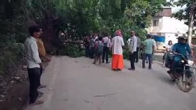 नरेन्द्रनगर: कैलाश गेट के पास बीच सड़क पर गिरा पेड़, पटवारी और नगर पालिका अध्यक्ष ने हटवाने की की कार्रवाई, ट्रैफिक जाम