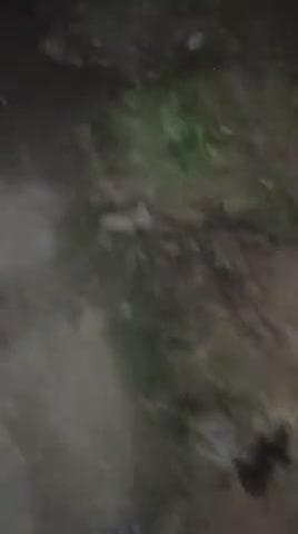 पता चंदासी वार्ड नंबर 12 मुगलसराय चंदौली
जहरीला 🐍सांप देख सकते हैं मेरी यही गुजारिश है  थोड़ा साफ सफाई हो जाए @