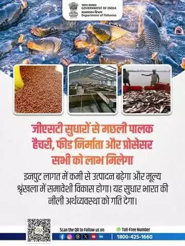 मत्स्य वैल्यू चेन के सभी चरण दिखाएं—हैचरी, फीड मिल, तालाब, प्रोसेसिंग यूनिट और निर्यात।
#NextGenGST #Fisheries #Aquaculture
