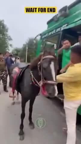 #तेजस्वी यादव मोकामा में घोड़े की सवारी करने की कोशिश में गिरे #rellaistar #video #बिहार #KhesariLalYadav #vanudgreat #दल