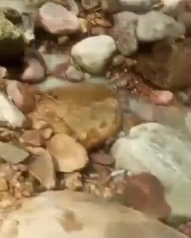 सुलह: 1978 के बाद एक बार फिर चांदड़ बमियाल पंचायत की दुधला पहाड़ी पर निकला दूधनुमा पदार्थ, लोग मान रहे बाबाबर्फानी का चमत्कार