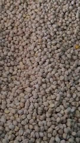 ₹ खातेगांव मंडी भाव वीडियो। 19 सितंबर 2025, शुक्रवार। Today Mandi Rate
