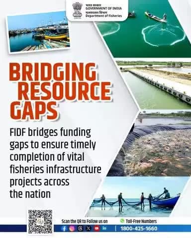 Bridging Resource Gaps
FIDF bridges funding gaps to ensure timely completion of vital fisheries infrastructure projects across the nation.
#InfrastructureDevelopment #FIDFGoals