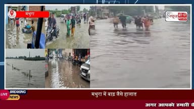 Mathura: तेज बारिश और #यमुना नदी के बढ़ते #जलस्तर से मथुरा में मची हाहाकार, घरों में घुसा #पानी, कई कॉलोनियां #जलमग्न
#मथुरा #वृंदावन