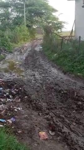 लौना
 ग्राम की गलियां गिलाव से भरी हुई है