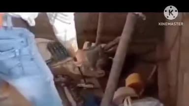 সোনামুখী: ৬ ফুট লম্বা ৯ কেজি ওজনের একটি বিশাল ইন্ডিয়ান রক পাইথন উদ্ধার হল কল্যাণপুরে এলাকায়,আতঙ্কিত হয়ে পড়েছে গ্রামবাসী