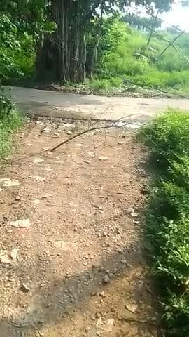 बिजली बीजबाग की लापरवाही #करेरा हरदौल मंदिर