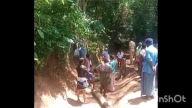 നെയ്യാറ്റിൻക്കര: കുന്നത്തുകാലിൽ പാലത്തിന് മുകളിലേക്ക് തെങ്ങ് വീണുണ്ടായ അപകടത്തില് രണ്ട് സ്ത്രീകള്ക്ക് ദാരുണാന്ത്യം