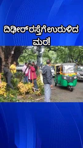 ಯೆಲಹಂಕ: ಶ್ರೀನಿವಾಸ ನಗರದಲ್ಲಿ ದಿಢೀರ್ ಉರುಳಿದ ಮರ! ಜನರೆಲ್ಲಾ ಕಕ್ಕಾಬಿಕ್ಕಿ