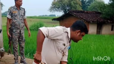 डंडा: गढवा जिले के विभिन्न थानों में अवैध महुआ शराब के खिलाफ छापामारी अभियान, महुआ और उपकरण नष्ट