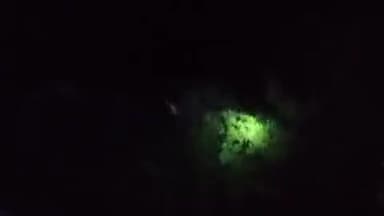 post jaguwa tola durha kisan ki fasal khati hui elephant 🐘🦏🦏 mile jangel bihbhag ki karwahi nhai ki ja rahi hai