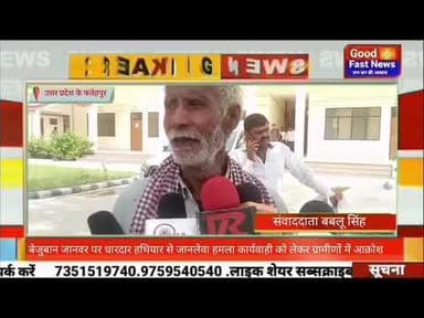 बेजुबान जानवर पर धारदार हथियार से जानलेवा हमला कार्यवाही को लेकर ग्रामीणों में आक्रोश#aajkinews