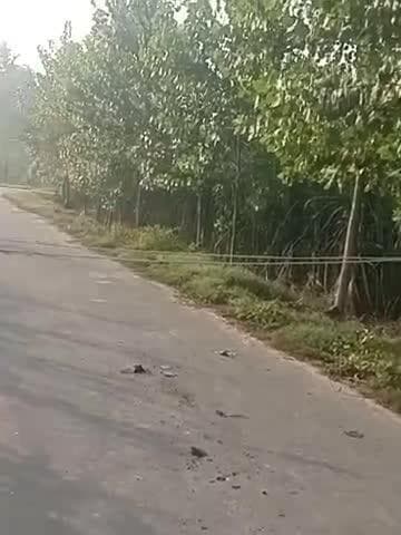 लैंडमार्क लापरवाही कर रहे हैं रोड पर लाइन पड़ी है