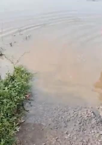 మద్నూర్: లెండి వాగులో భారీగా వరద, గోజేగావ్ కు నిలిచిన రాకపోకలు