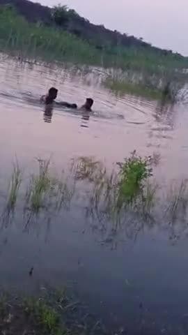 ग्राम बेलखेड़ी तहसील पटेरा जिला दमोह   एक छोटा सा बच्चा जो तालाब में डूब कर मर गया