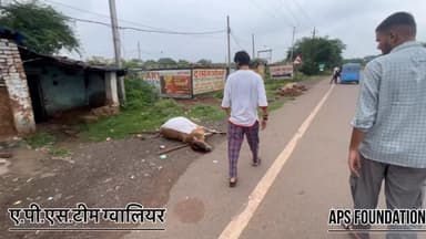 एक छोटी सी गलती के कारण एक निर्दोष पशु की जान चली गई..!
Respect girls help poor help animal’s
#apsgurjar #cow #rip
