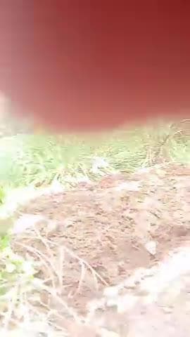 घुसिया पंचायत कोच तहसील जिला जालौन उत्तर प्रदेश