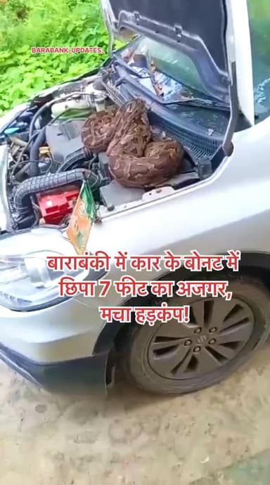 बाराबंकी में कार के बोनट में छिपा 7 फीट का अजगर, मचा हड़कंप!
#Barabanki #Wildlife #barabanki #viral #barabankiupdates #viralpost #bbk