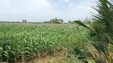 நிலத்தை அளவீடு செய்ய 25 ஆயிரம் ரூபாய் லஞ்சம் பெற்ற விஏஓ கைது ...காட்டுக்கொட்டாய் பகுதியில் லஞ்ச ஒழிப்பு போலீசார் நடவடிக்கை.