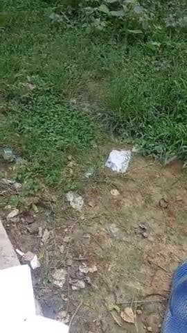खबर
गंगा पुल चर्चा थाना रूपैडिहा काहै