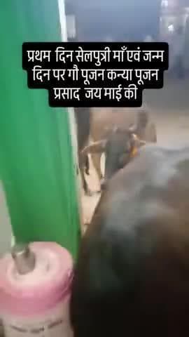 जय माई की 🙏🙏🌹🌹🌹🌹
डॉ अमित (आशीष) शुक्ला MD बांके बिहारी दवाखा ना 🙏🙏