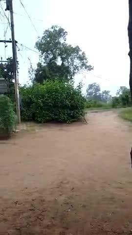 new#varal video mandla @sappot karo