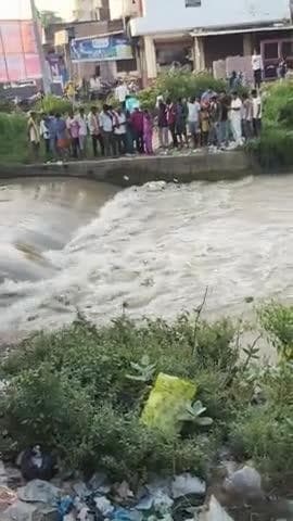 Gonda R Nagar chaurahe per Nahar Mein dikhi tairti Hui lahas