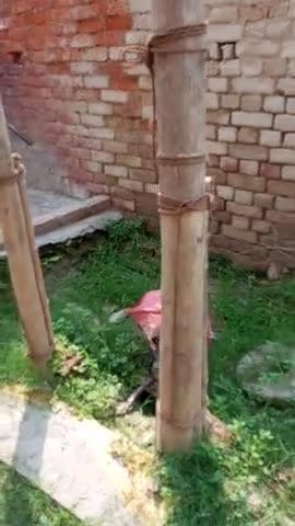 सार्वजनिक हैंड पंप सेक्रेटरी साहब को लगाने में हो रही है दिक्कत चंदौली जिला ग्राम बरहन निवासी #यूपी #सीएमup