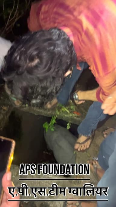 मलबा के गड़े में गो माता चली गई..!
Respect Girls help poor help animals
#apsgurjar #gwalior #cow