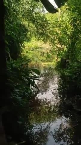 thana parbatta kulhari Ghar kulhadiya ek vyakti mar Gaya Hai kripya isko karvai karna chahie