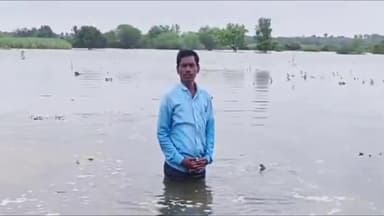 उमरी: बोळसा गंगा पट्टी येथे बॅक वॉटरचा फटका बसून शेती गेली पाण्याखाली;शेतकरी शिंदे यांचा समाज माध्यमावर व्हीडिओ व्हायरल