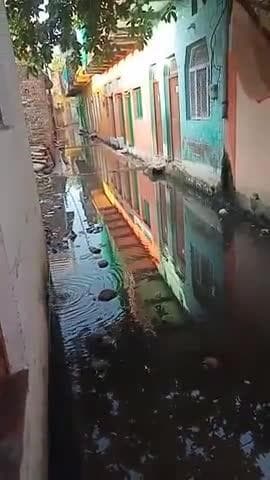 इंदरगढ़ कमद रोड़ वार्ड नं 13 में भर रहा पानी बच्चे नहीं जा पा रहे स्कूल लगभग 1 साल से भर रहा पानी