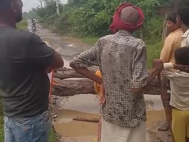 ग्राम पंचायत शहीजन कला में पेड़ गिरने से ११ हजार वाट का तार गिरने से रोड ब्लॉक हो गया लोग बाल बाल बचे