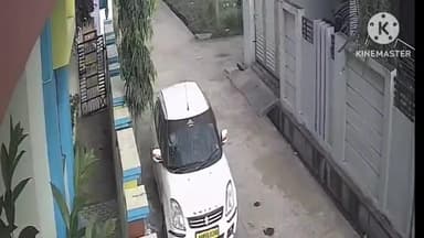 मंठा: शहरातील काही प्रभागात मोकट कुत्र्यांचा सुळसुळाट तात्काळ बंदोबस्त करण्याची नगरपंचायत ला निवेदनाद्वारे नागरिकांची मागणी