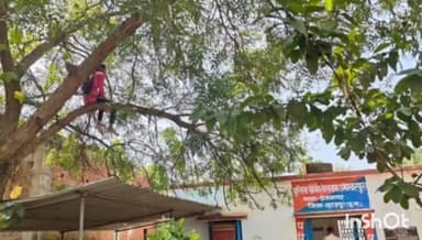 प्रेमनगर: उमेश्वरपुर पुलिस चौकी में सुनवाई न होने पर युवती ने पेड़ पर चढ़कर फाँसी का फंदा लगाया